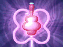 Winx Club Enchantix GIF